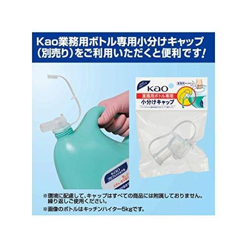 前洗い用洗剤　アクシャル　5L